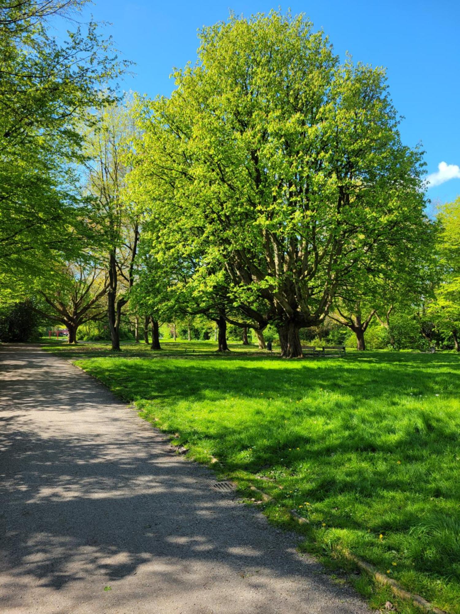 Ferienwohnungen Am Park Wilhelmshaven Esterno foto
