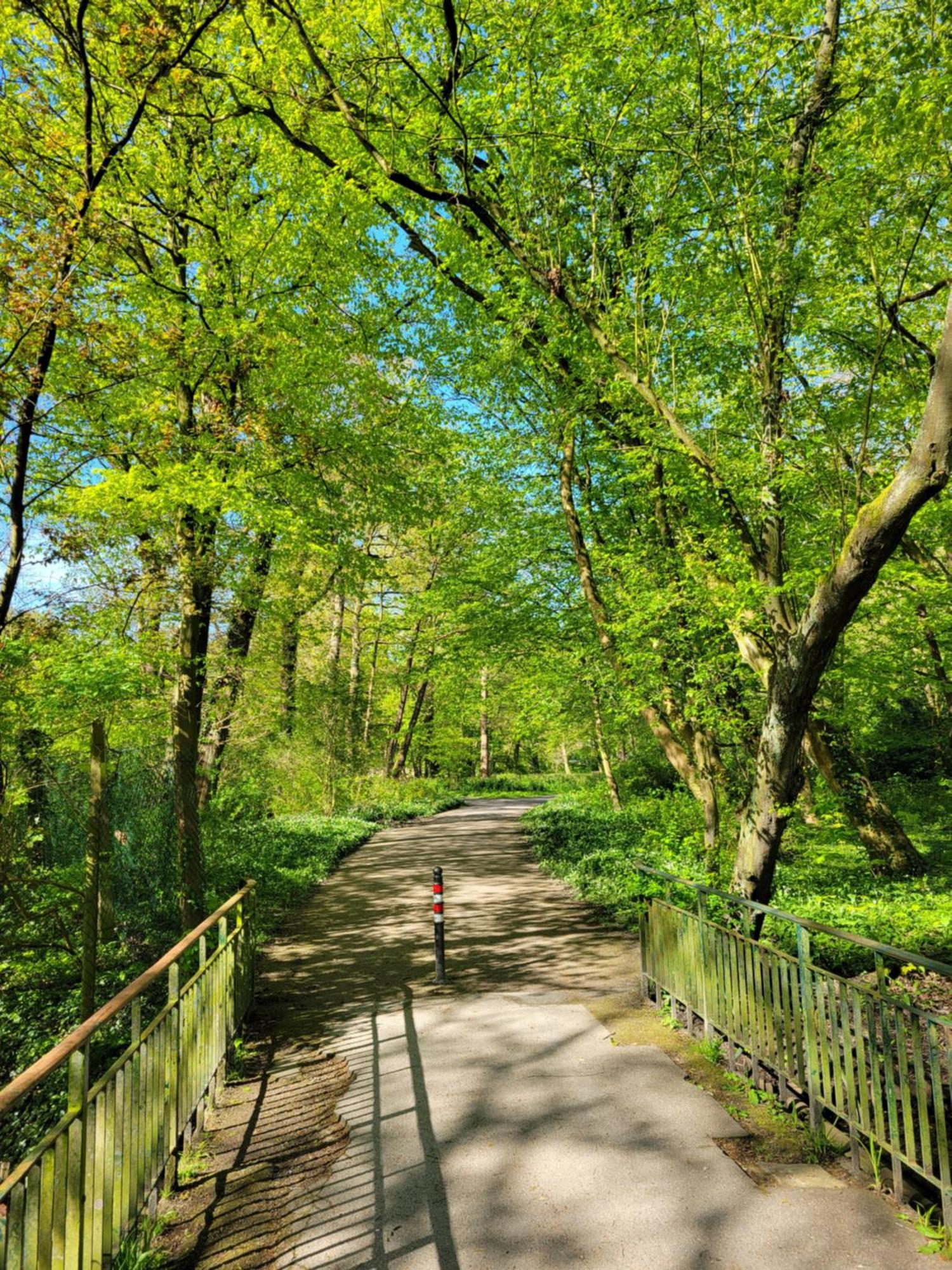 Ferienwohnungen Am Park Wilhelmshaven Esterno foto